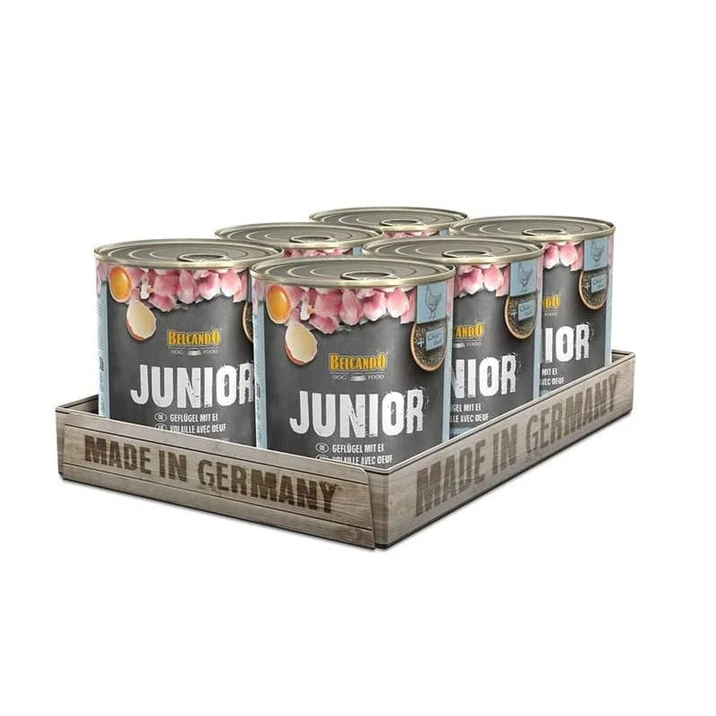 Pack 6 Latas Grandes Belcando Junior Ave con Huevo 800 g c/u