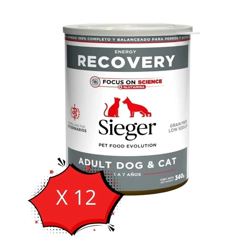 Pack 12 Latas Sieger Recovery 340g c/u