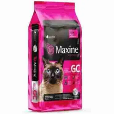 Maxine Gato Castrado