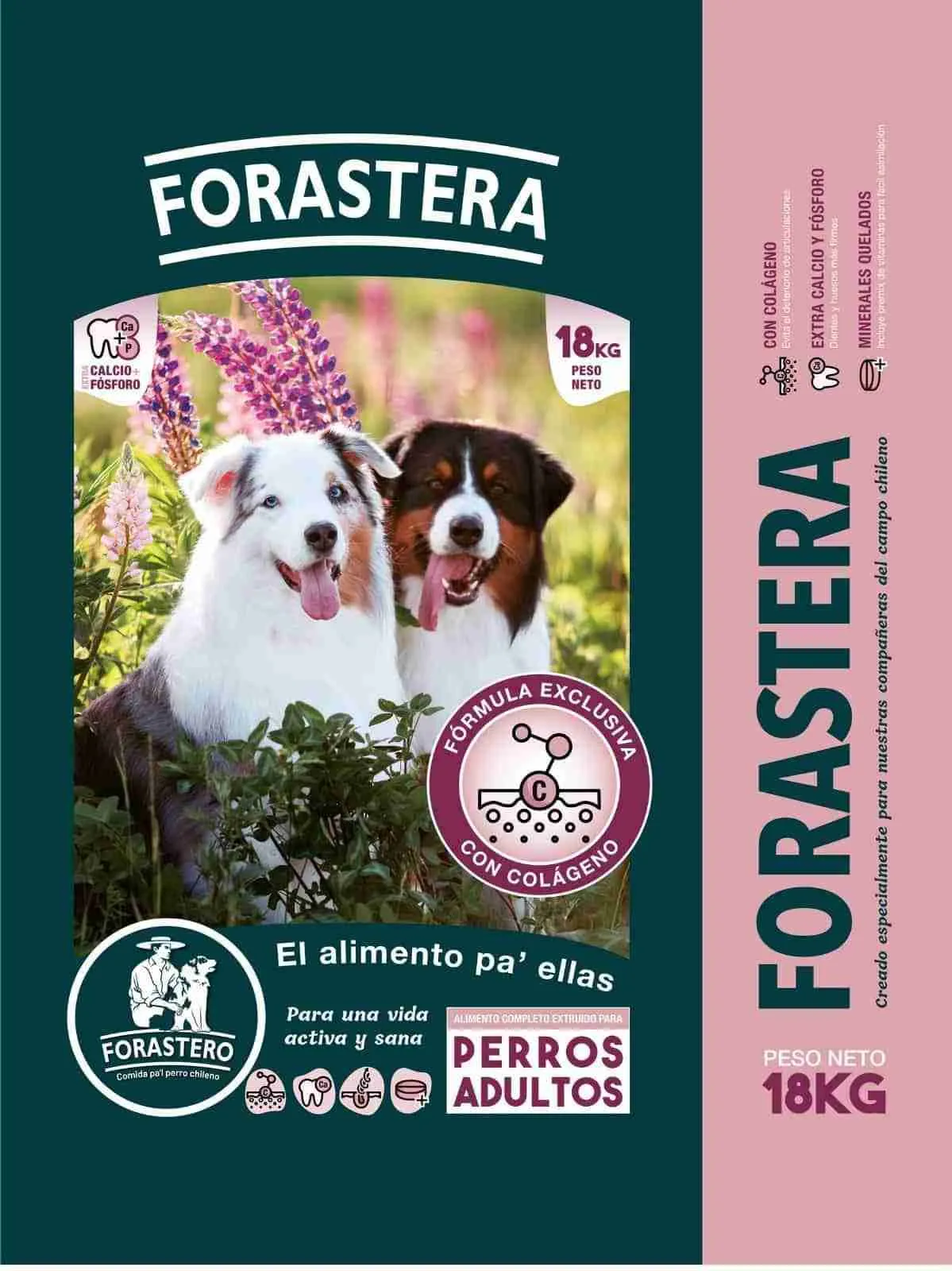 Forastera 18kg Alimento Adultos para ellas