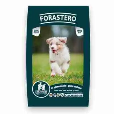 Forastero Cachorro