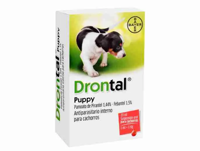 Drontal Cachorros 20ml