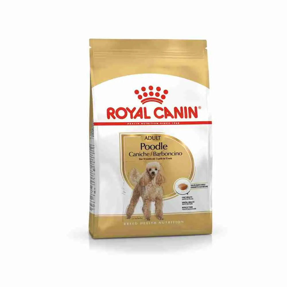 Royal Canin Poodle Adulto 3 kg