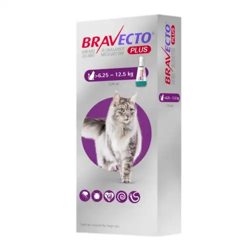 Bravecto plus gato 6,25 kg a 12,25 kg