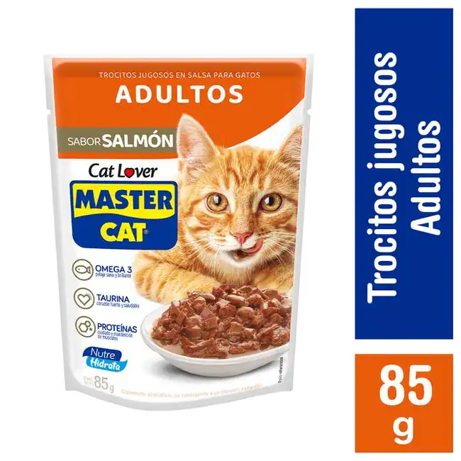 Pack 20 Sachet Master Cat Húmedo - Salmón Ahumado 85gr c/u